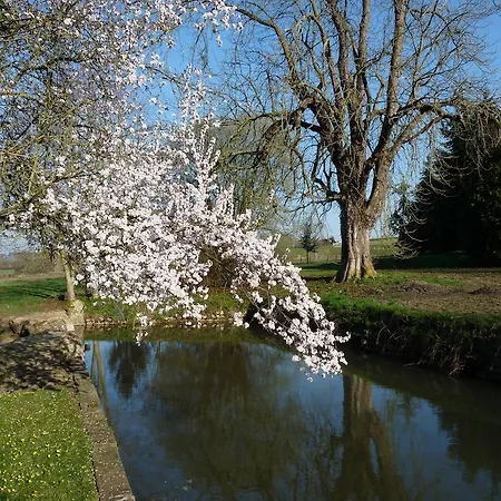 Bed & Breakfast Domaine De Montaudin Le Mesnil-Bacley